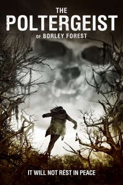 where can watch the forest online for free