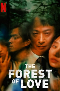 watch the forest online free megavideo